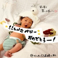 画像239