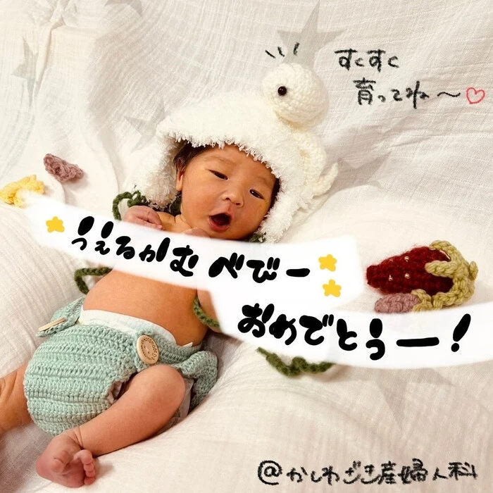 画像239