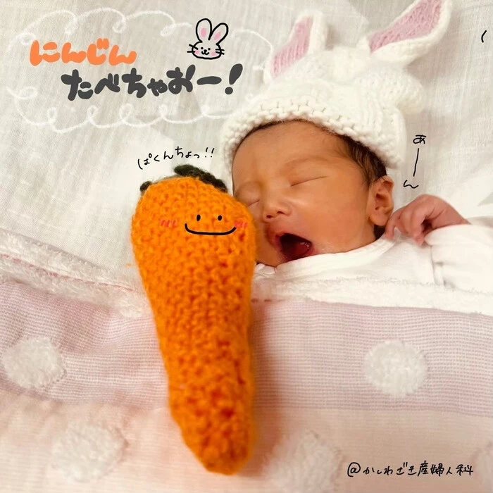 画像262