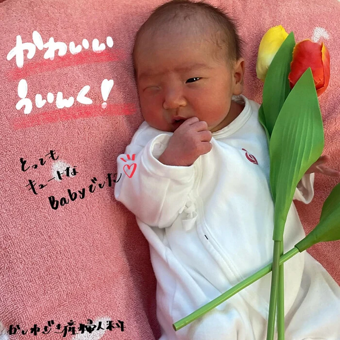 画像266