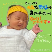 画像337