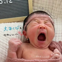 画像362