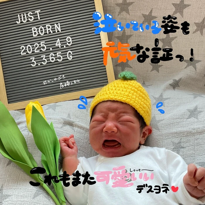 画像374
