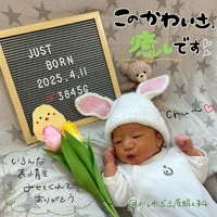 画像386