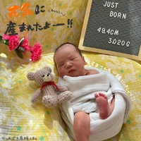 画像395