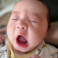 画像397