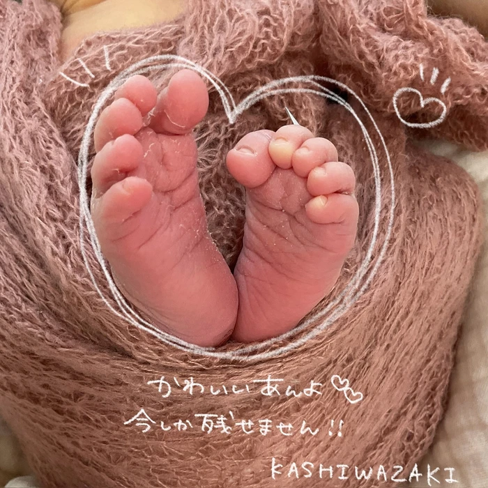 画像443