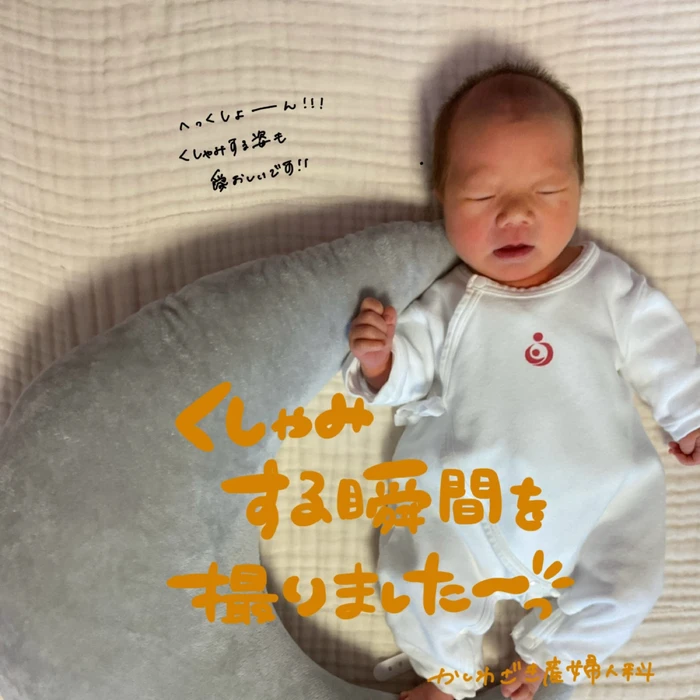 画像503