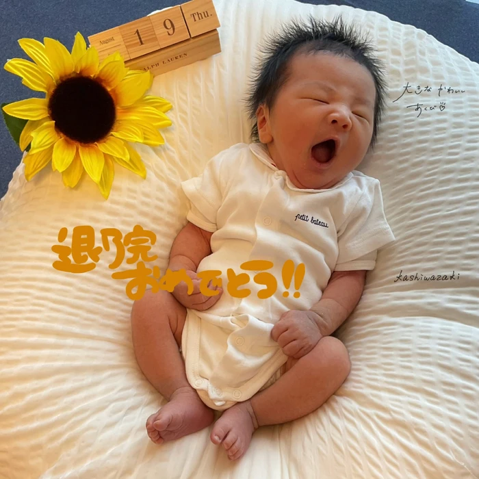 画像524