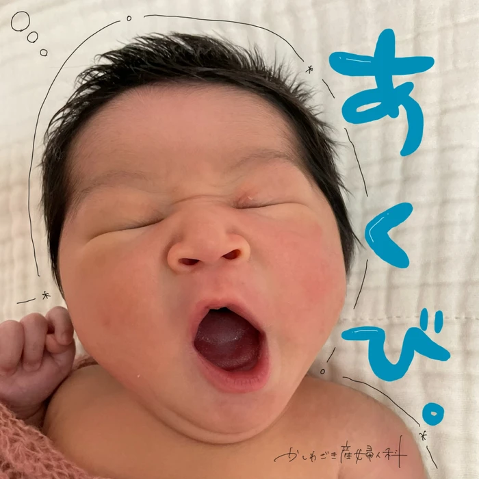 画像594